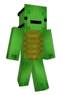 turtleanimate Minecraft avatar full body