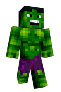 turtleboy101 Minecraft avatar full body