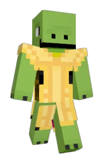 turtledude01 Minecraft avatar full body
