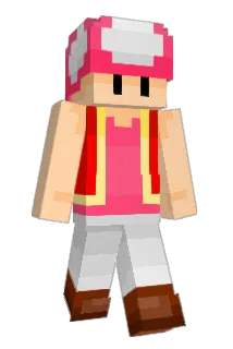 turtleduster Minecraft avatar full body