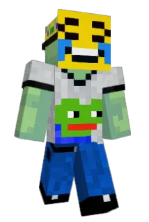 turtlekingcam Minecraft avatar full body
