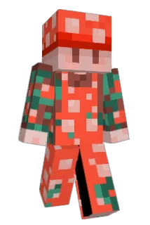 turtleoak Minecraft avatar full body