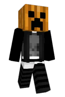turtlewithpoo Minecraft avatar full body