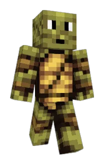 turtlewood7607 Minecraft avatar full body