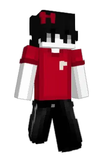 tussic Minecraft avatar full body