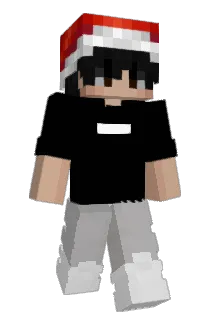 tuwy Minecraft avatar full body