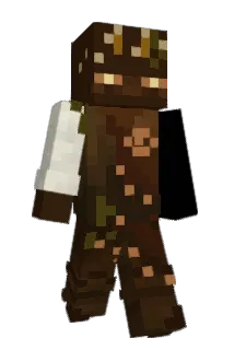 tv_box Minecraft avatar full body