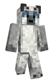 twan45 Minecraft avatar full body