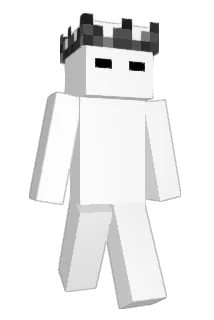 twbblv Minecraft avatar full body