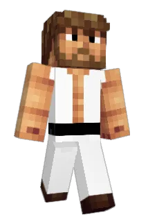 tweet57 Minecraft avatar full body