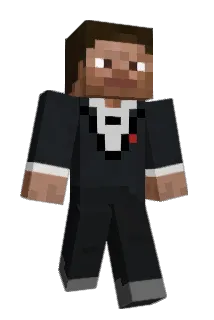 twgi Minecraft avatar full body