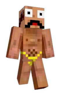 twingtwang Minecraft avatar full body