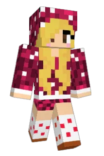 twinibop Minecraft avatar full body
