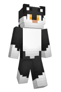 twinklepassion Minecraft avatar full body