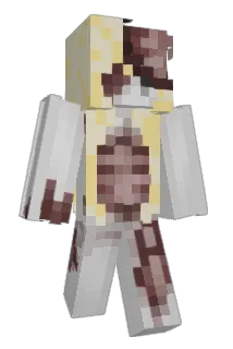 twinkletoezzzz Minecraft avatar full body