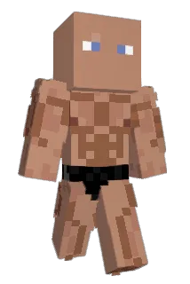 twonski69 Minecraft avatar full body