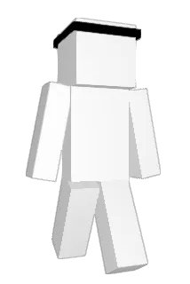 twotoi Minecraft avatar full body