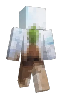 txusz Minecraft avatar full body