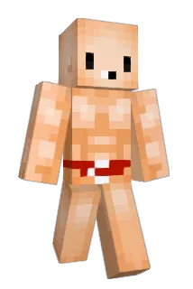 ty32 Minecraft avatar full body