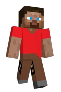 tyfootman Minecraft avatar full body