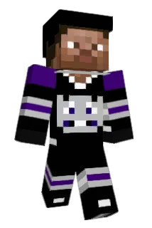 tylerehr Minecraft avatar full body