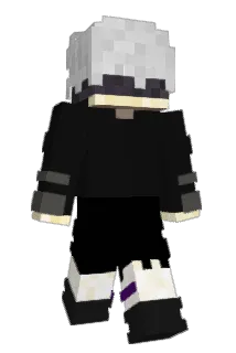tylernol27 Minecraft avatar full body