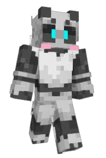 tylobraixen Minecraft avatar full body