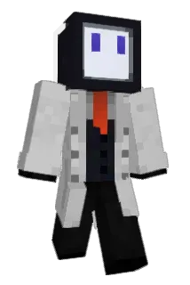 typ2 Minecraft avatar full body