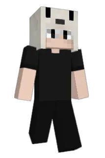 typeshjjt Minecraft avatar full body