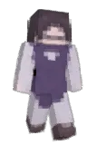 typographics Minecraft avatar full body