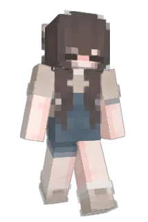 typrtr Minecraft avatar full body