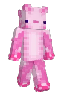 udadbald Minecraft avatar full body