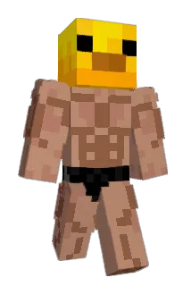 udt3004 Minecraft avatar full body