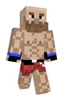 ufcfighter Minecraft avatar full body