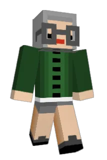 uic060 Minecraft avatar full body