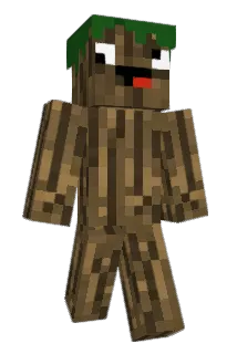 umuller Minecraft avatar full body