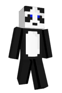 unchi2020 Minecraft avatar full body