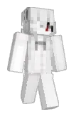 unfamous Minecraft avatar full body