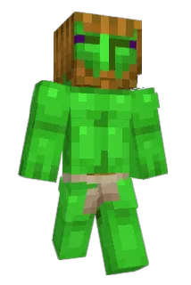 unicornlunch Minecraft avatar full body