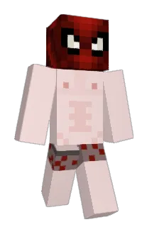 unknownSpider Minecraft avatar full body