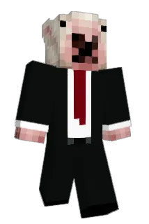 unknown_vr1 Minecraft avatar full body