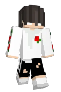 unknownhh Minecraft avatar full body