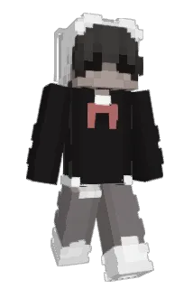 unknqown Minecraft avatar full body