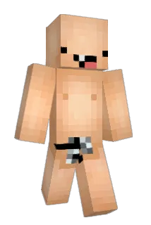 unkobayashi Minecraft avatar full body