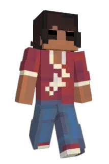 unwanting Minecraft avatar full body
