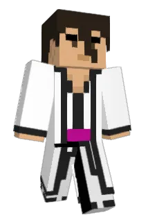 uocn Minecraft avatar full body