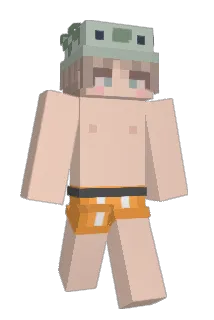 up_M Minecraft avatar full body