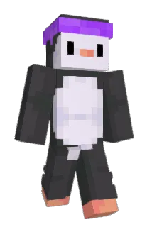 us3f Minecraft avatar full body