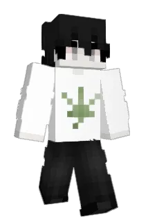 uscs Minecraft avatar full body
