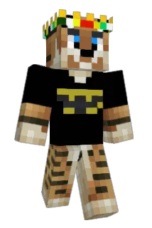 usshark Minecraft avatar full body